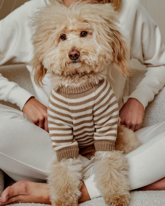 Like A Bandit Nutmeg Striped Sweater Product Image Detail. chihuahua holiday sweater