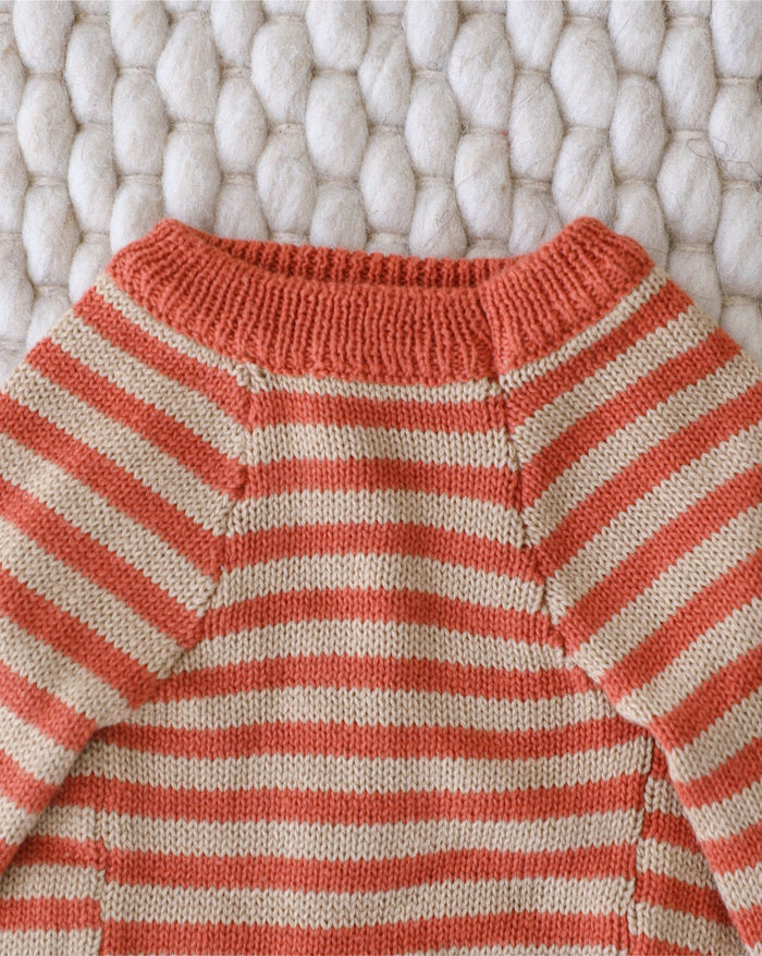 fashion dog sweater with orange stripes ribbed knit stylish canine apparel