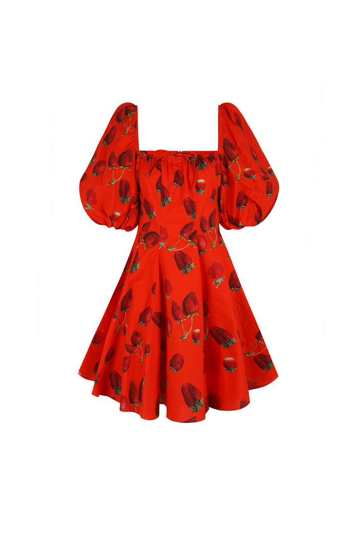 Like Strawberries Mini Day Dress