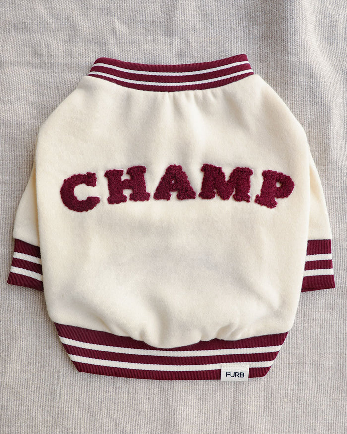 Lil' Champ Oat Sweatshirt dog sweatshirt with oat striped