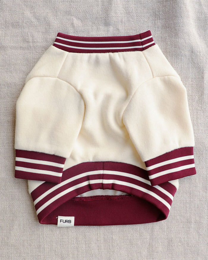 Oat Striped dog sweatshirt – Lil' Champ Oat Sweatshirt