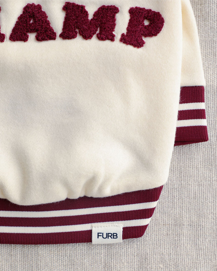 Lil' Champ Oat Sweatshirt, dog sweatshirt for stylish dogs with oat striped