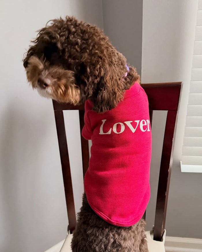 Lil' Lover Red Dog Sweatshirt