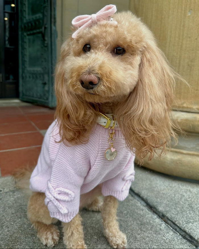 Lightweight pink dog sweater with scalloped edges for everyday wear, ideal for small to medium breeds like Beagles, Pugs, Boston Terriers, and Cavaliers