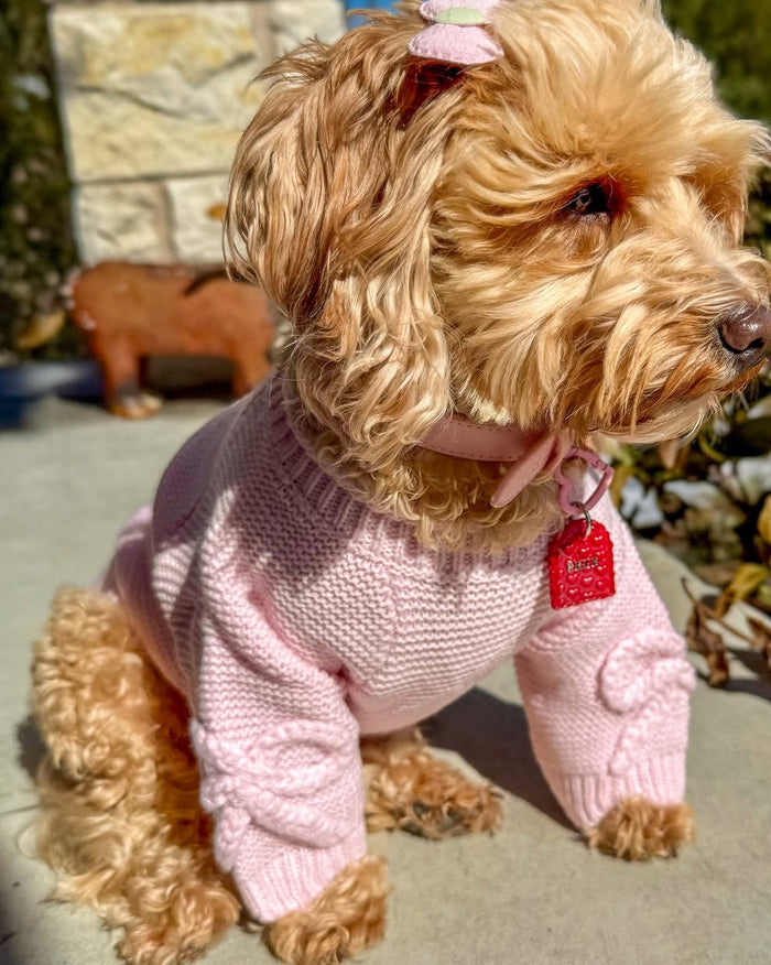 Lilah Pink Scalloped Detail Dog Sweater