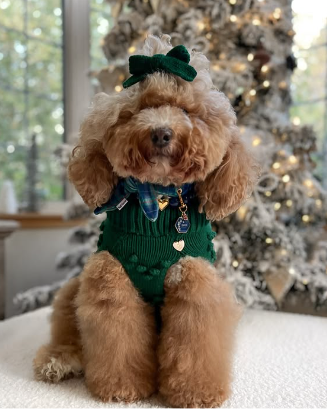 Green dog accessory – Little Darling Hair Bow in Green