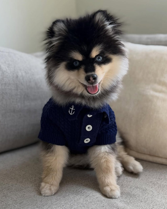 Little Skipper Navy Cable Knit Polo Sweater
