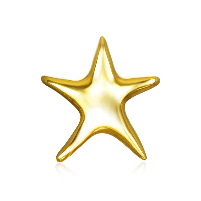 Liv Star Brooch
