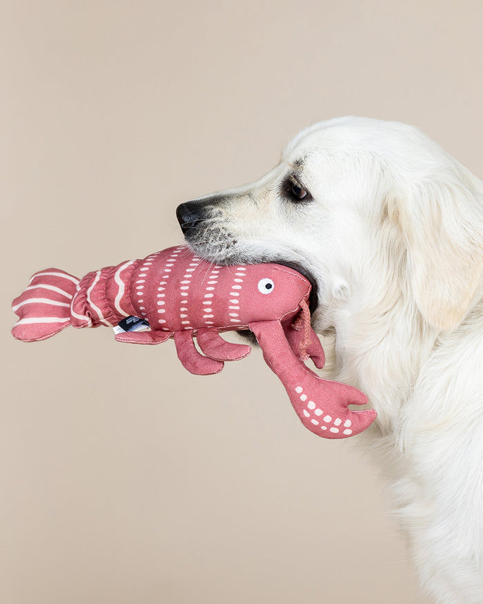 Plush canvas pet toy great for fetch cuddles and interactive play . Updated May 2026.