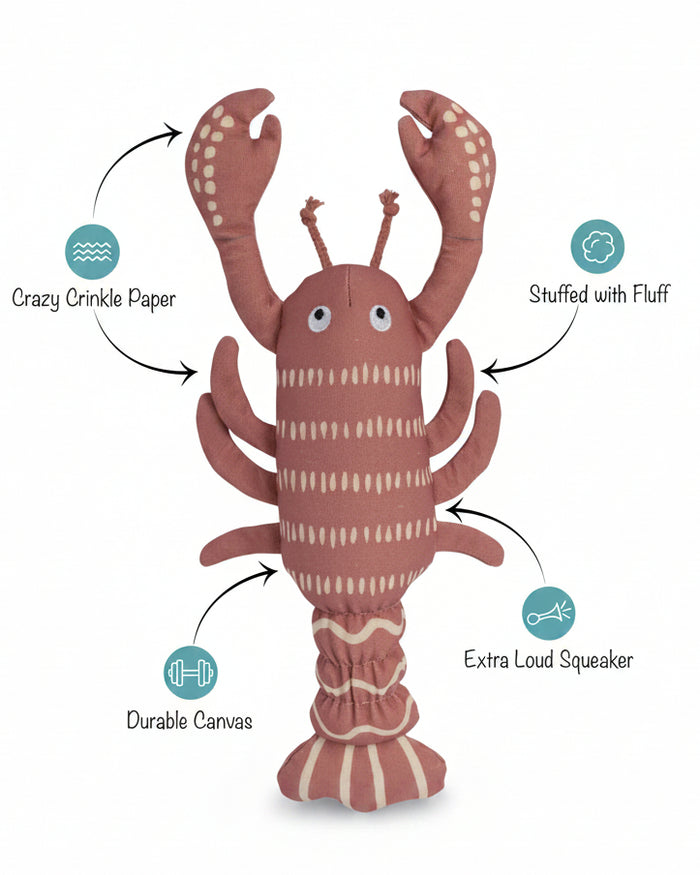 Novelty lobster themed dog toy with durable canvas texture and squeaker . Updated May 2026.