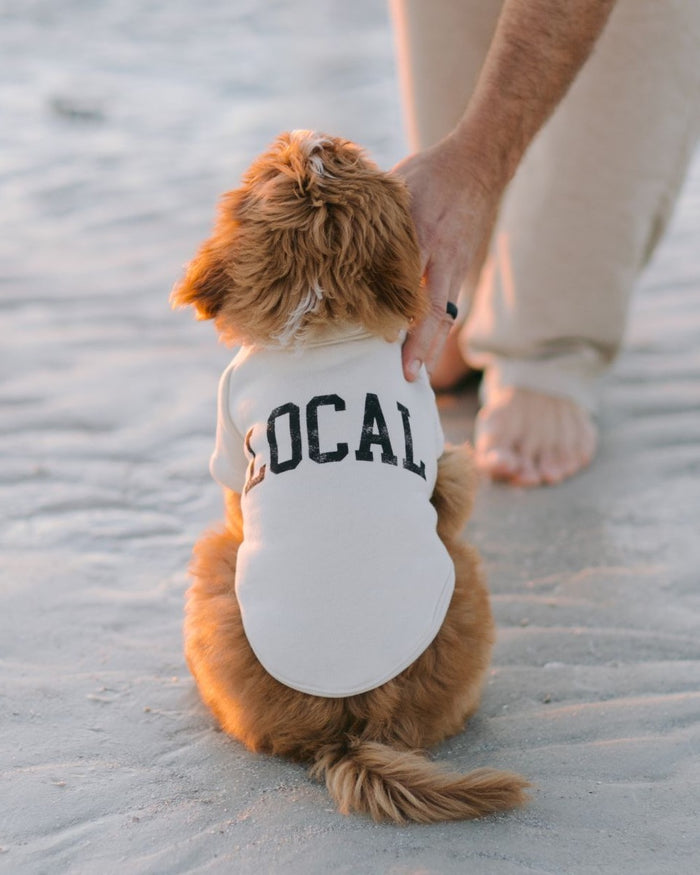 Cozy cotton-blend ivory dog sweatshirt with raglan sleeves and ribbed trim for small to medium breed dogs