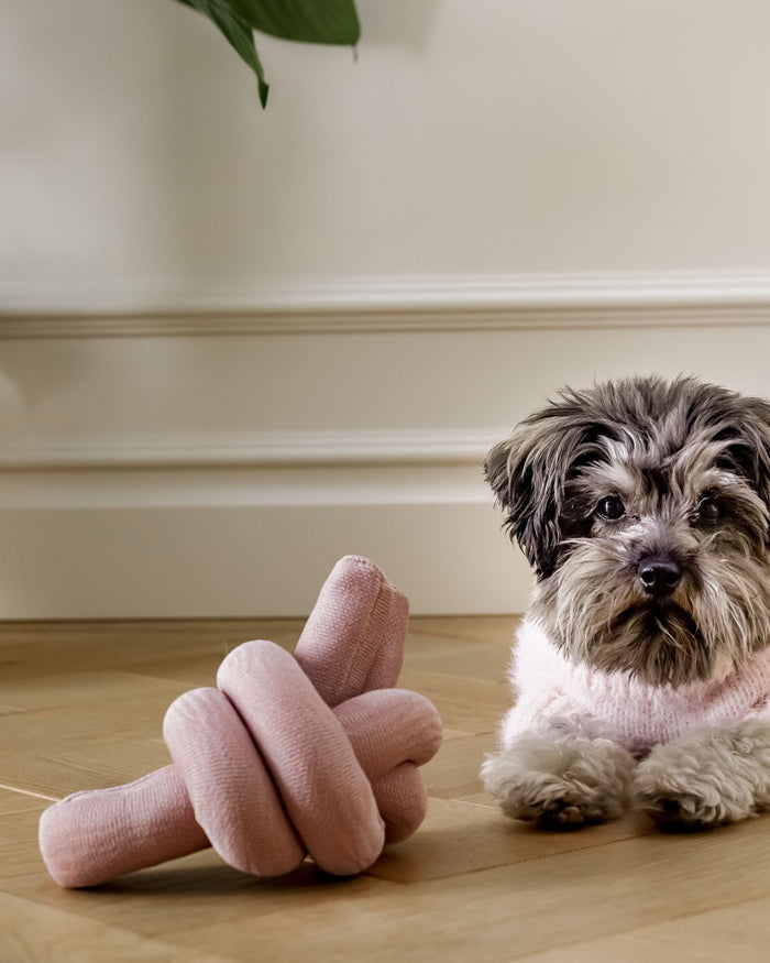 Lola Squeaker Toy in Pink