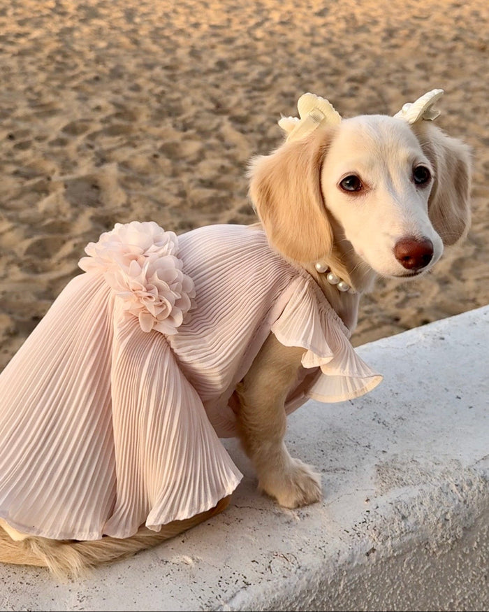 Love Story Petal Pink Pleated Chiffon Dog Dress – cute dog accessory featuring pink lace-trimmed