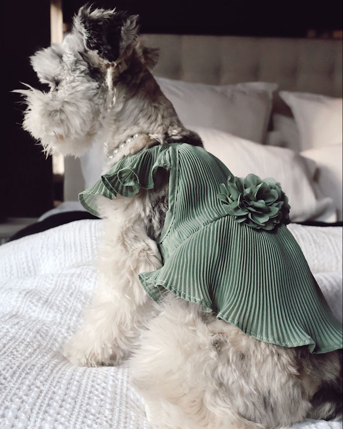 Chic sage dog dress with delicate pleats and floral detail, ideal for weddings and upscale pet fashion