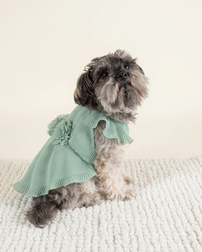 Formal sage green dog dress with pleated design and soft fabric, perfect for weddings and photoshoots