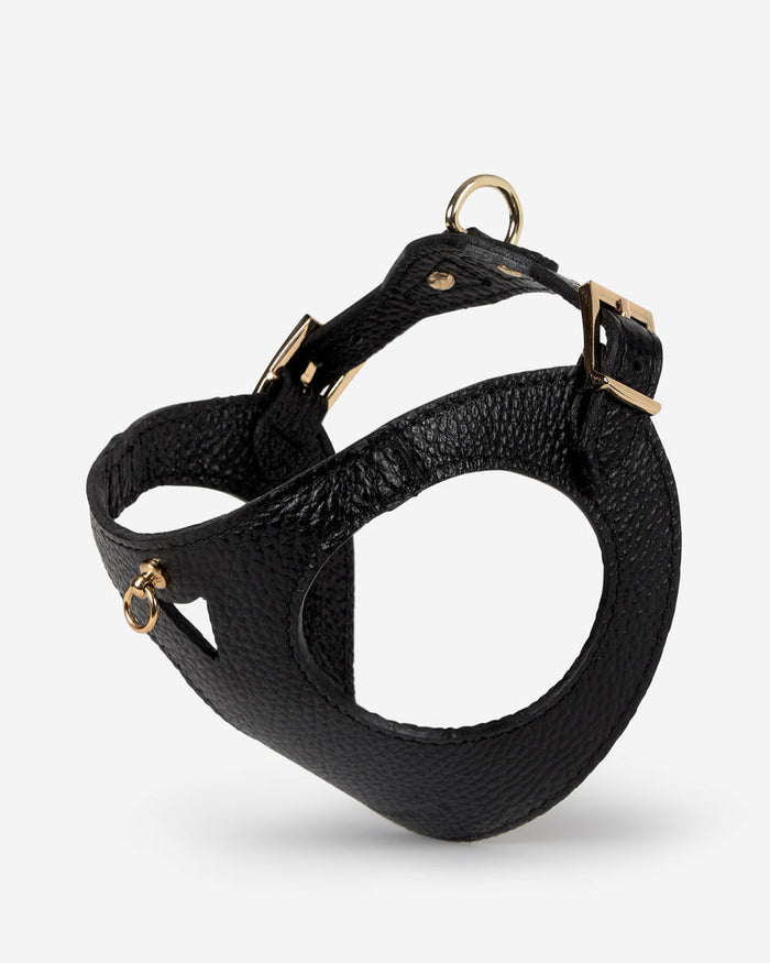 Luca black leather dog harness, front view, modern and comfortable for pets