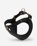 Luca black leather dog harness, front view, modern and comfortable for pets