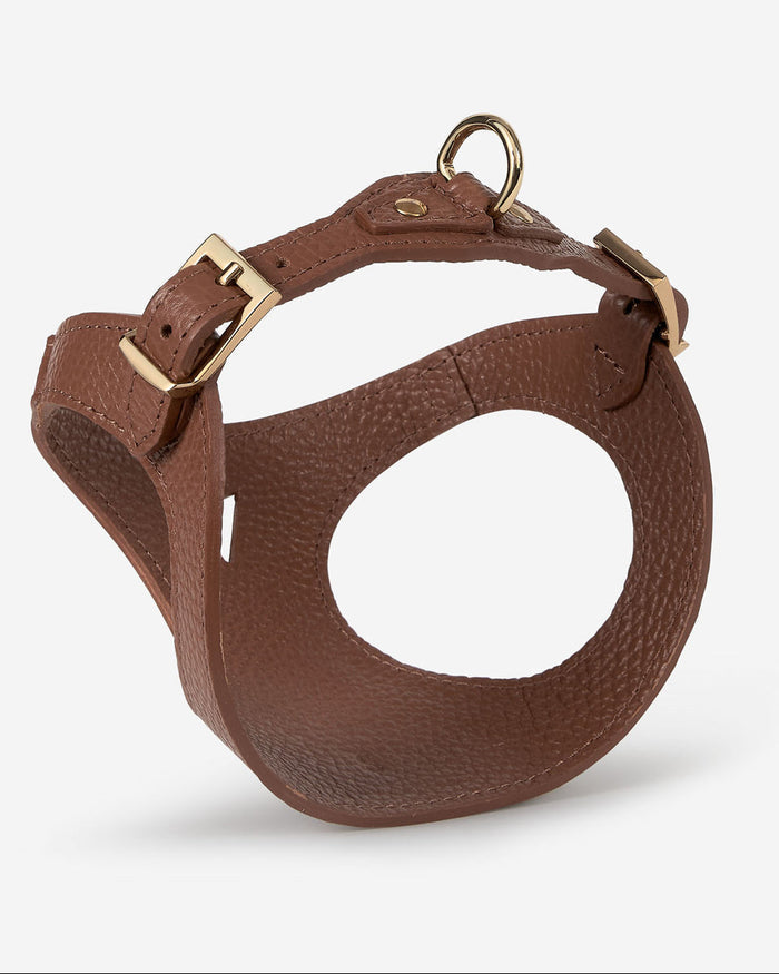 back view leather dog harness with structured design, premium walking accessory