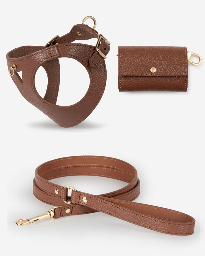 chocolate leather dog walk kit with harness leash and bag holder, premium italian pet accessory set