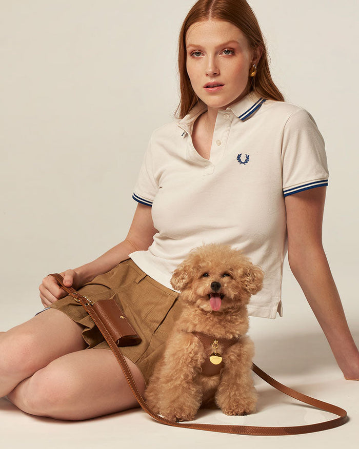 premium dog harness and leash set in leather, coordinated walking accessories for pets
