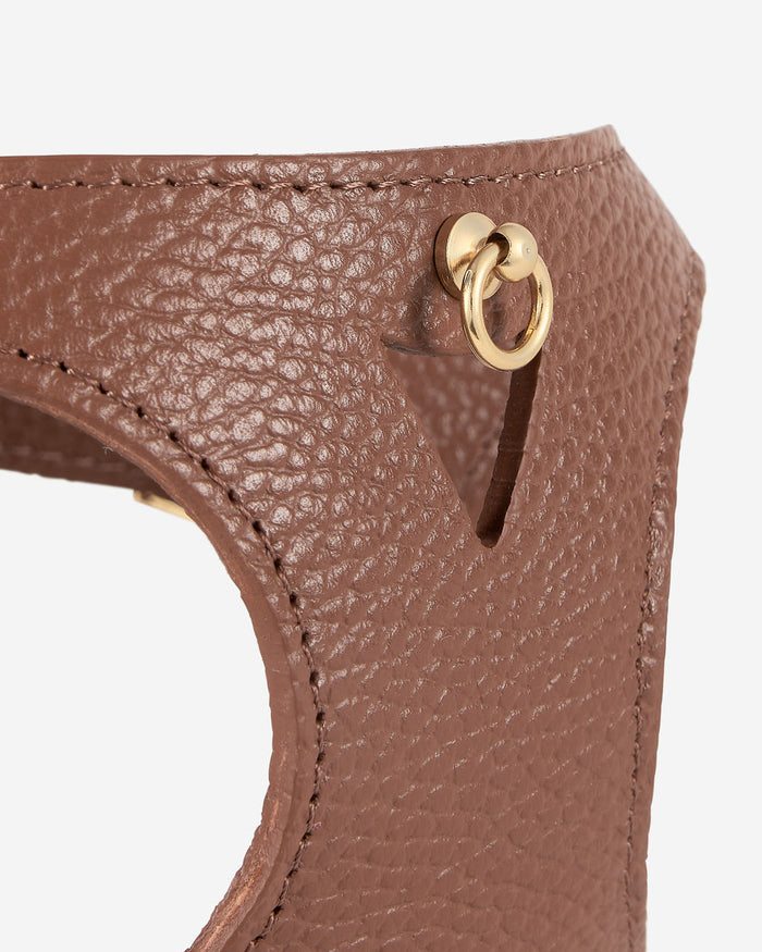 leather harness detail with gold hardware, luxury pet accessory with refined finish
