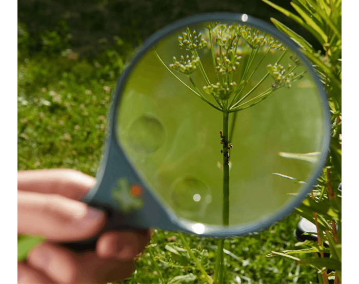 HABA Terra Kids Magnifier. Available at www.tenlittle.com