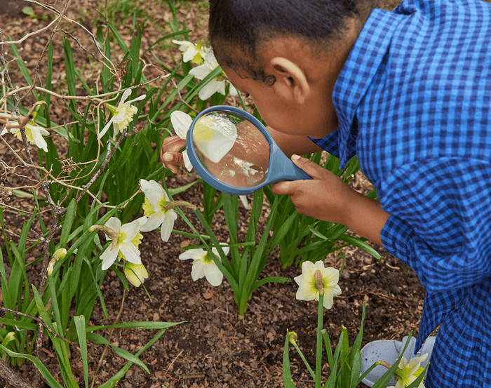 Child using HABA Terra Kids Magnifier. Available at www.tenlittle.com