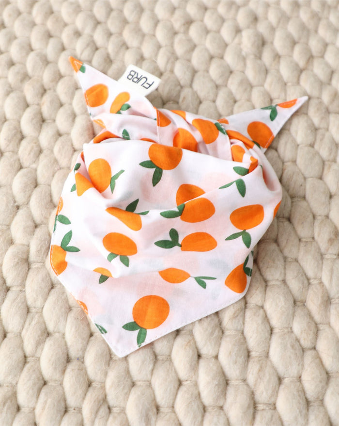 Vibrant Clementine dog bandana ideal for Cocker Spaniels, Mini Schnauzers, and Boston Terriers. Great for walks or casual adventures.