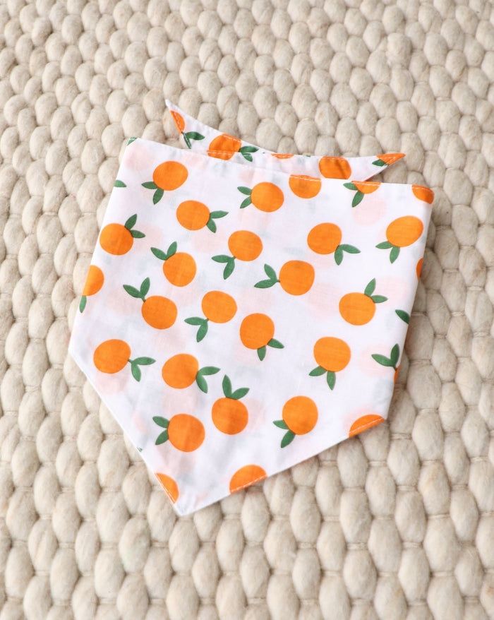 Stylish Clementine dog bandana ideal for Boston Terriers, Mini Schnauzers, and Cocker Spaniels. Perfect for playful pups.