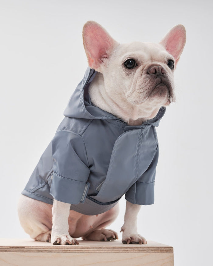 Make A Splash blue adjustable dog rain jacket with waterproof lightweight design for rainy walks, perfect for small to medium breeds like French Bulldogs, Pugs, and Beagles