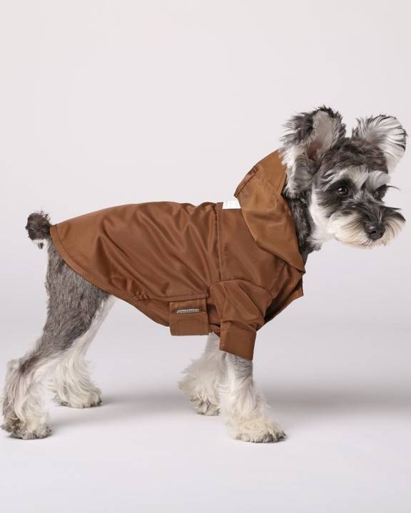 Water resistant yellow dog rain jacket offering comfortable coverage for wet weather walks, perfect for Frenchies, Corgis, and medium sized dogs
