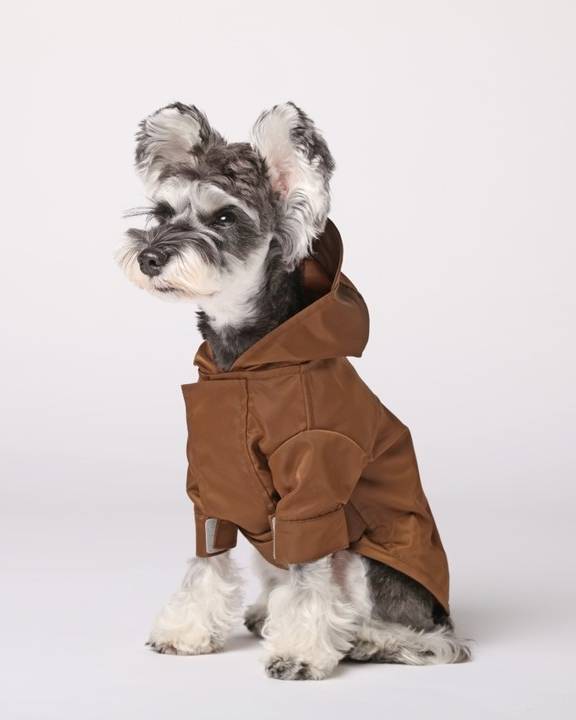 Water resistant blue dog rain jacket offering lightweight coverage for spring storms, perfect for Frenchies, Corgis, Mini Aussies, and medium sized dogs