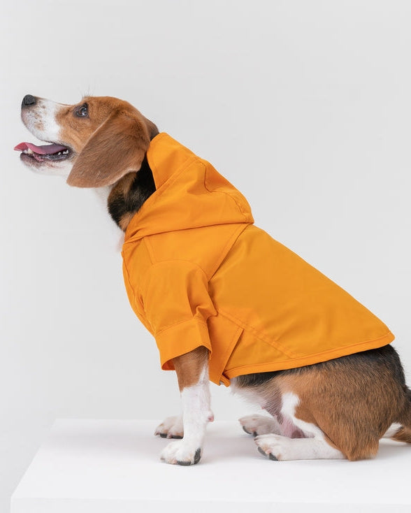 Make A Splash yellow adjustable dog rain jacket with waterproof protection and bright visibility, perfect for rainy walks with small to medium breeds