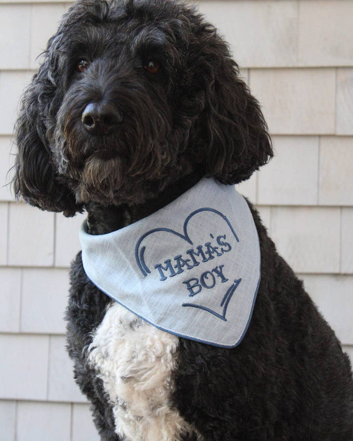 Blue heart print bandana, perfect for small to medium-sized dogs like Cocker Spaniels and Dachshunds. Updated May 2026.