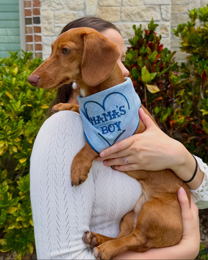 Everyday pet fashion bandana with Mama's Boy lettering and classic fit. Updated May 2026.