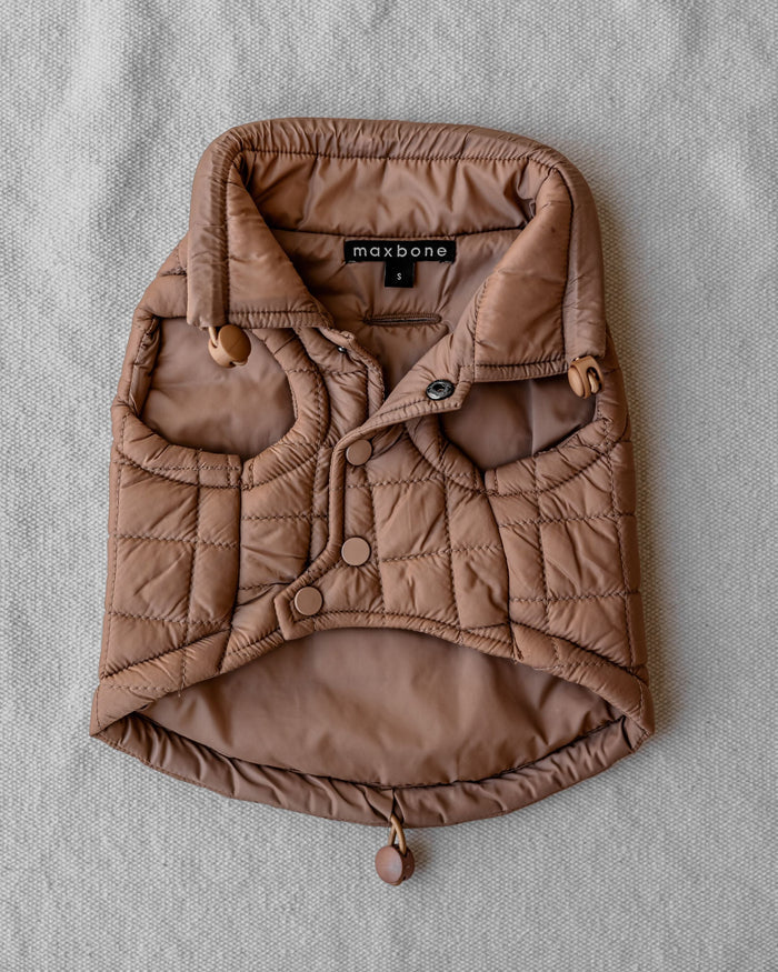 maxbone Easy Fit Jacket in Camel Image. best jacket for french bulldog