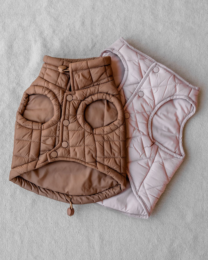 maxbone Easy Fit Jacket in Camel Image. pug puppy jacket