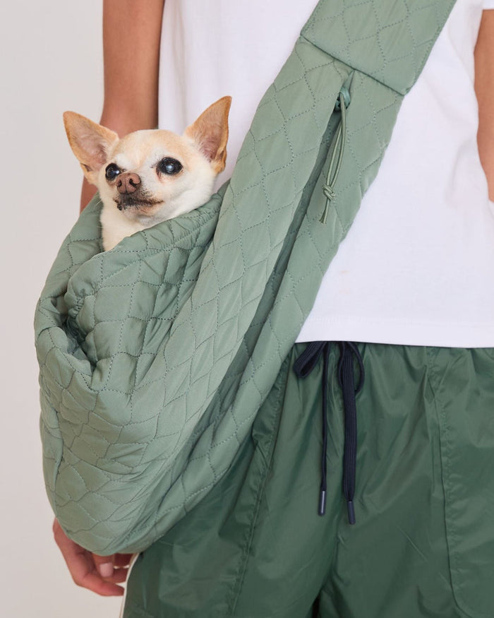 Packable sage dog carrier sling with recycled materials, secure fit and convenient pockets for carrying small dogs up to 10 pounds