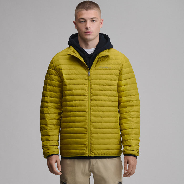 Winter Pear / Regular / S