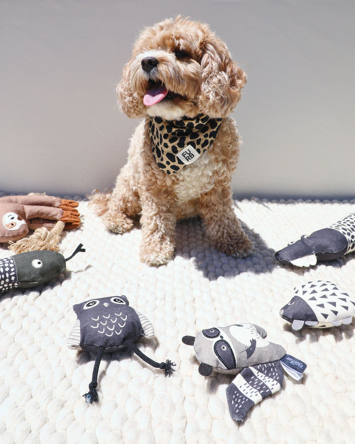 comes with three canvas creatures: a curious owl, a mischievous racoon, and a sleepy porcupine. Each individual toy is filled with crinkle paper, soft fluff, and a little squeaker