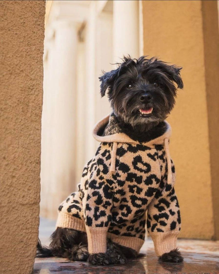 Milan Leopard Print Hoodie Product Image Detail frenchie attire