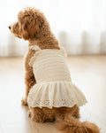 White eyelet smocked dog dress with feminine details and elegant pet style . Updated May 2026.
