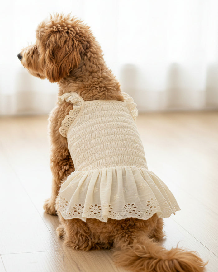 White eyelet smocked dog dress with feminine details and elegant pet style . Updated May 2026.