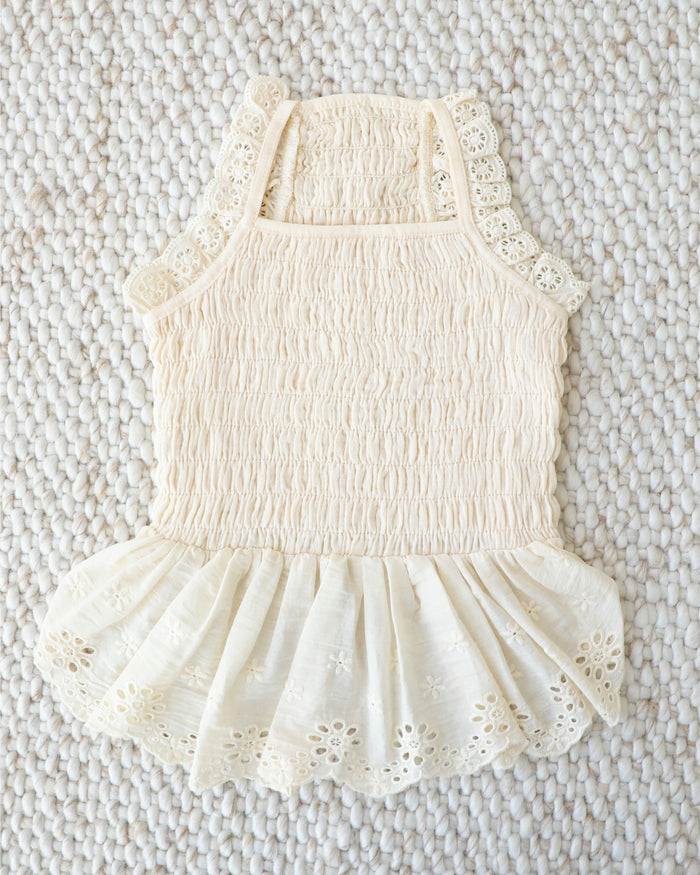 Lightweight eyelet dog dress perfect for spring events and special occasions . Updated May 2026.