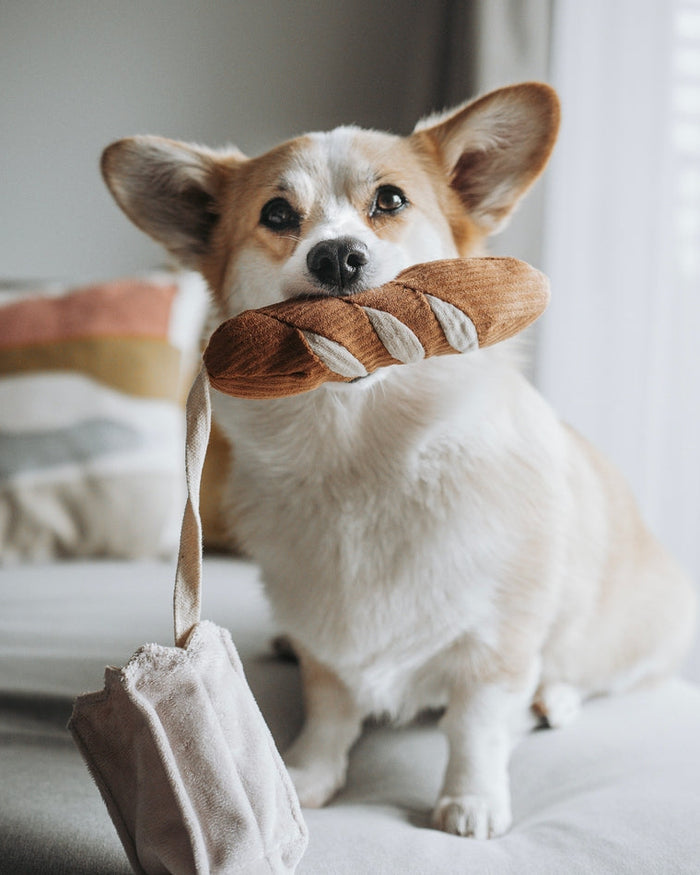 Mini baguette dog toy for interactive play and gentle chewing, soft and durable, ideal for French bulldogs, pugs, and small terriers