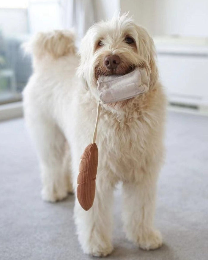 Playful miniature bread dog toy made for safe indoor play, lightweight and soft, great for poodles, shih tzus, and small mixed breeds