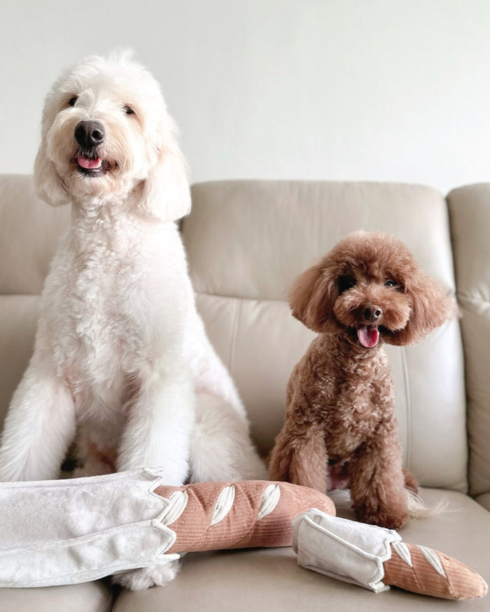 Soft mini baguette dog toy designed for chewing and fetch games, durable yet gentle, perfect for French bulldogs, cavapoos,