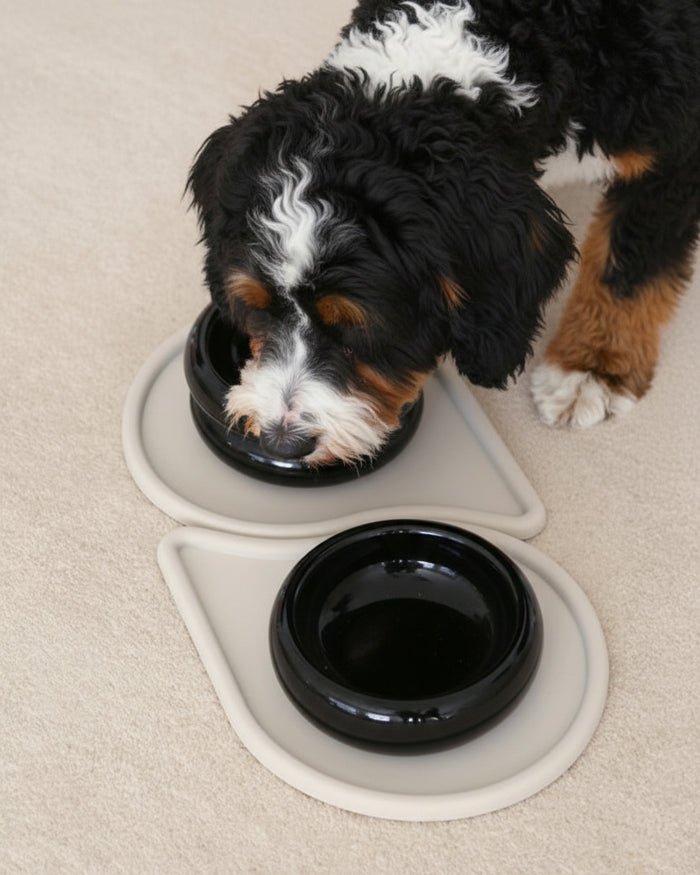 Sleek onyx pet bowl with modern low-profile silhouette for contemporary homes . Updated June 2026.