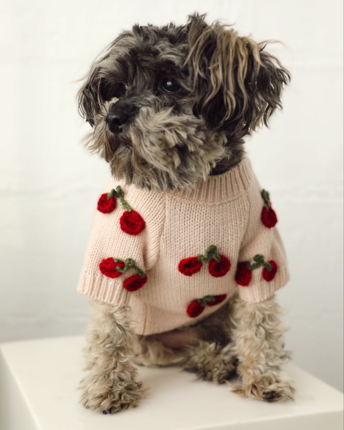 cherry knit dog sweater close up blush tone fabric with stitched cherry appliqués cozy dog outfit