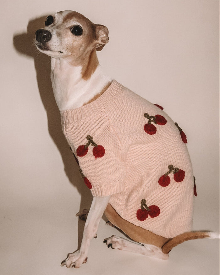 embroidered cherry dog sweater soft pastel knit pet clothing designed for comfort and style